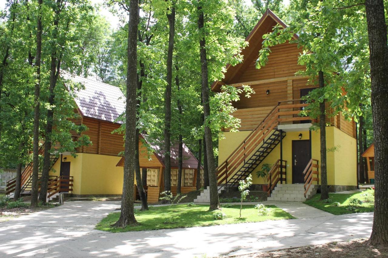 Вілія Hotel Lomachintsy Exterior photo